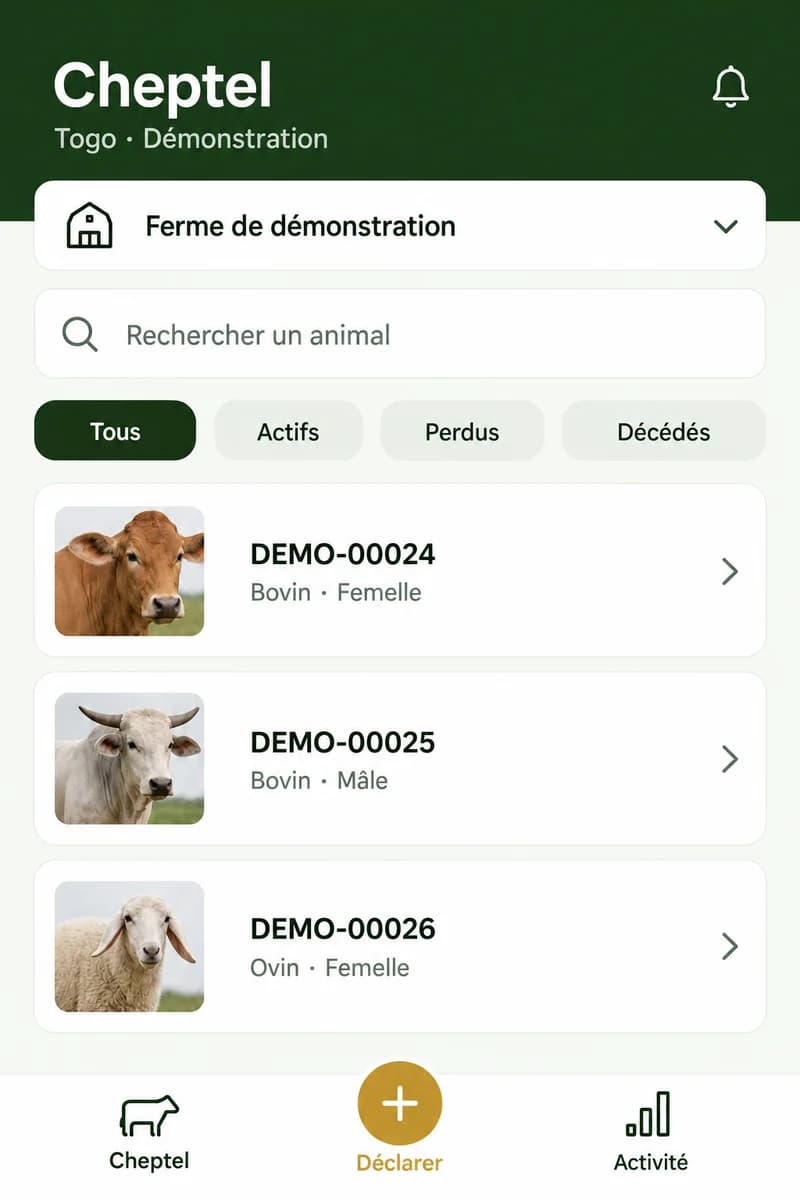 Aperçu illustratif : Retrouver ses animaux